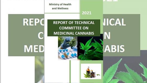 Comité technique sur cannabis médical : le public invité à commenter le rapport 