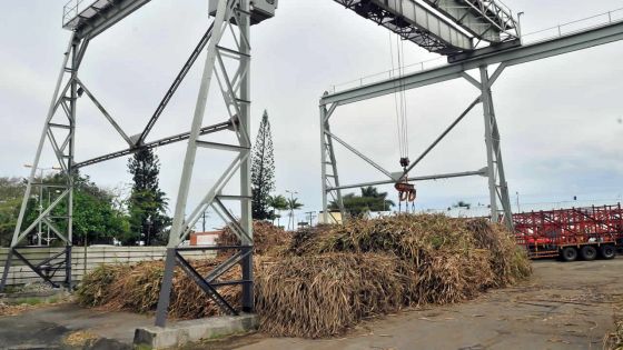 Compagnie d’État: Rose-Belle Sugar Estate accuse une perte de plus de Rs 250 millions