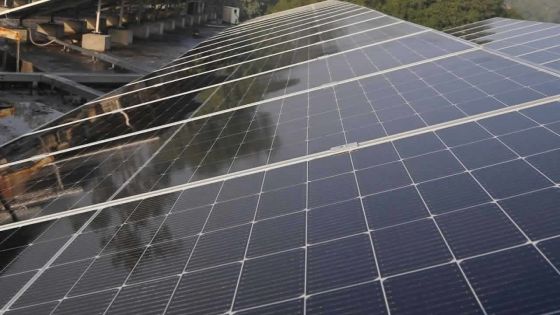 Contrat de ferme solaire alloué à Corex Solar : le CEB dépose une plainte contre la députée Joanna Bérenger