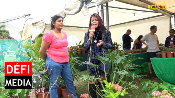 Salon du Déstockage à Pailles : découvrez les offres promotionnelles au stand de Serre de Palma