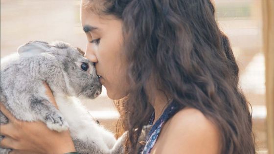 Il est possible d’adopter un lapin, au même titre qu’un chien ou un chat