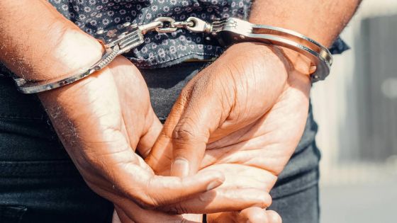 Ébauche du Police and Criminal Justice Bill : refonte en profondeur des pouvoirs policiers et de la justice pénale