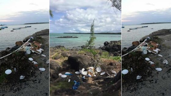 Pollution : l’îlot-Bernache, île-poubelle