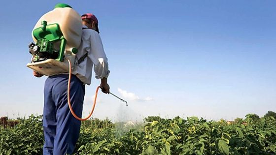 Mahen Seeruttun : ‘We are working on legislation to ensure proper and safe use of pesticide’