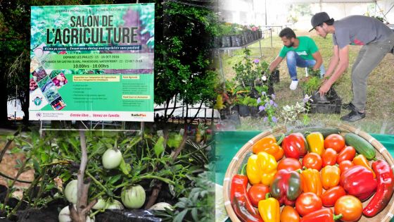 Salon de l’Agriculture : direction Mahébourg pour un nouveau rendez-vous