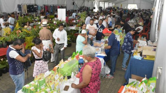 L’accès aux marchés : l’épineux problème des PME