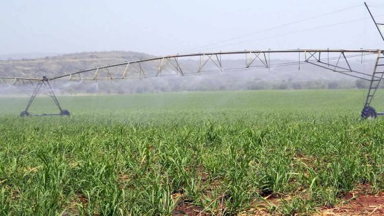 Irrigation Authority : des revenus de Rs 1 M pour le directeur par intérim