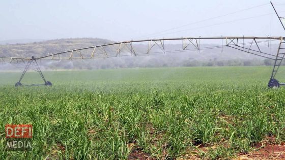 Enquête sur l’Irrigation Authority : le rapport rendu public incessamment