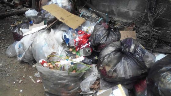 Ramassage d’ordures : un appel lancé à la mairie de Port-Louis