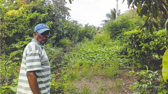 Baie du Cap : l’asphaltage d’une rue attendue depuis 22 ans