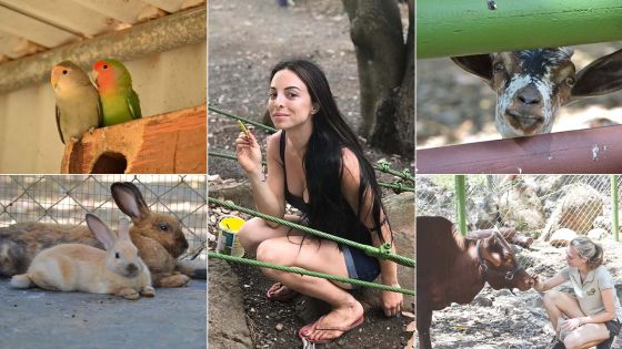 L’Arche de Noé : le surprenant refuge animalier de Gros-Cailloux