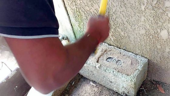 Vol avec violence chez un courtier à Fond-du-Sac : la police récupère Rs 651 000 dans un parpaing cimenté au sol