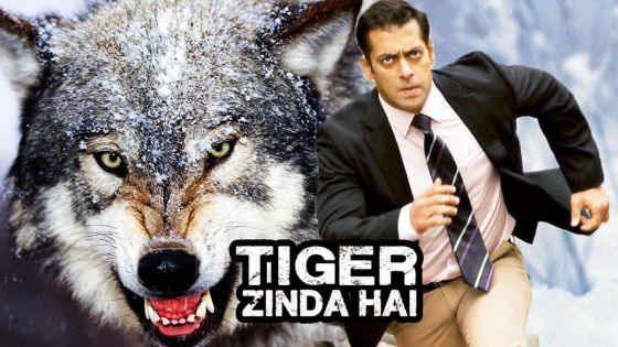 Tiger Zinda Hai : Salman Khan se bat contre des loups