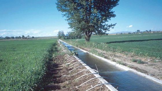 Water Rights à 1017 concessionnaires: la CWA a perçu Rs 81 000 en 2015