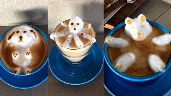 «Latte art» : un chef-d’oeuvre dans la tasse