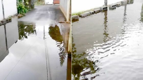 Bois-Pignolet, Terre-Rouge : une fuite d’eau toujours pas réparée après 8 mois