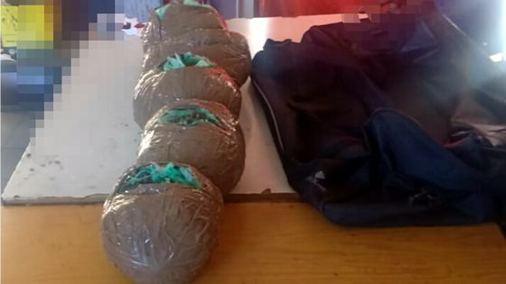 Maurice/Réunion Connection : quatre arrestations après la saisie de sept kilos de cannabis estimés à Rs 10 M