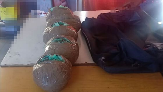 Saisie de 7 kilos de cannabis  : deux skippers mauriciens dans le collimateur de l’Adsu