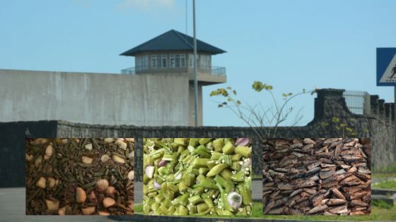 Milieu carcéral : le repas des détenus à la loupe