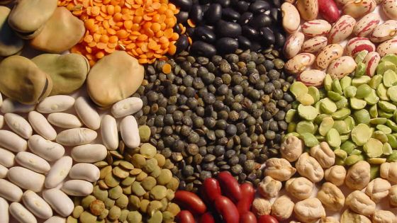 Étude sur la consommation : le Mauricien consomme 9,6 kilos de grains secs par an