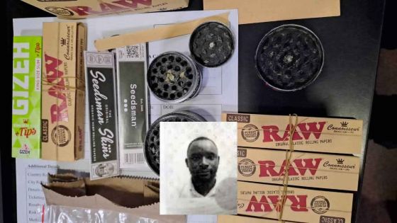 Nigerian Connection : une culture de cannabis découverte dans l’appartement d’un Nigérian