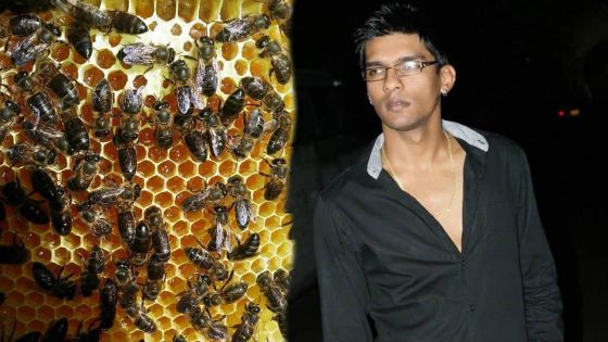 Apiculture : le doux métier de Nirmal Alluck