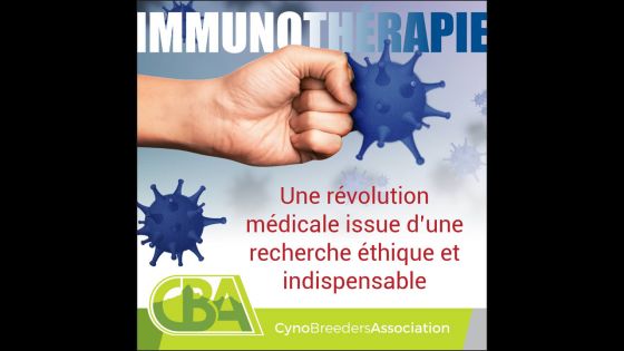 Immunothérapie : une révolution médicale issue d’une recherche éthique et indispensable