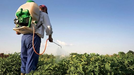 Agro-industrie : contrôle insuffisant de l’utilisation abusive des pesticides