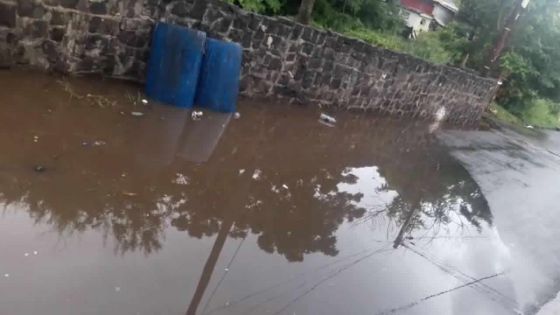 Rue des Lataniers, Ste Croix : une eau stagnante dérange depuis plus de sept ans