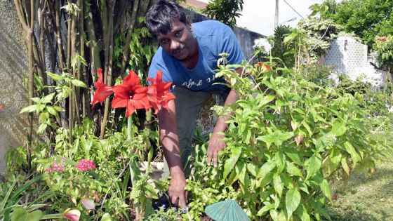 Soodesh Greedharree : un jardinier aux doigts fleuris  
