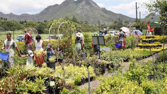 Moka Plant Festival : votre rendez-vous fleuri