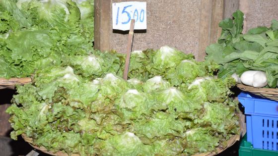 Légumes : pas de pénurie durant la saison festive