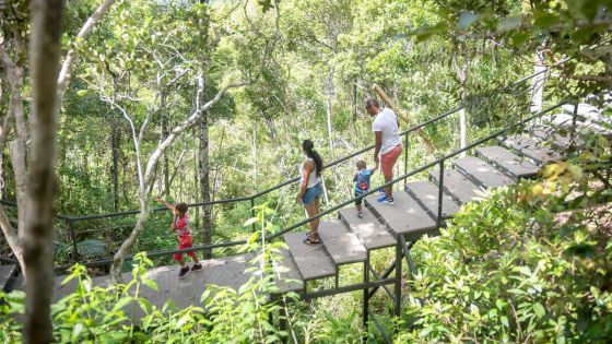 Conservation - Sous l’ombre des forêts : un avenir à préserver 