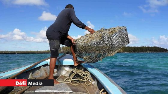 Le gouvernement débourse plus de Rs 10 millions au bénéfice des pêcheurs 