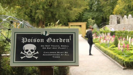 Angleterre : un jardin rempli de plantes toxiques et mortelles