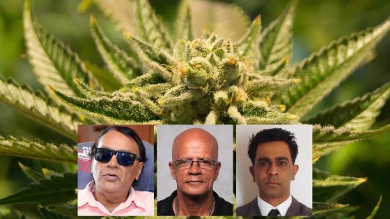Légalisation du cannabis : à quand la fin de l’éternel débat?
