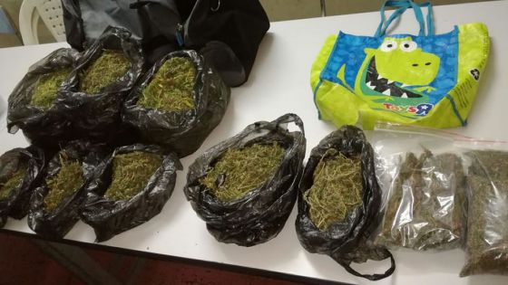 Trou-aux-Biches : un mécanicien arrêté avec 3 kg de cannabis et Rs 829 000
