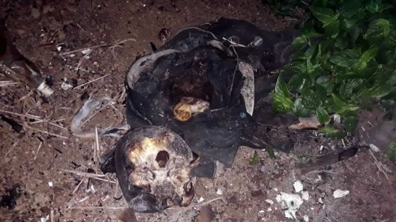 Découverte d’un squelette à Rivière-des-Anguilles : le décès remonte à six semaines