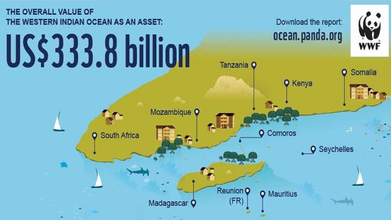 Surexploitation - Ressources de l’océan Indien : le World Wide Fund inquiet