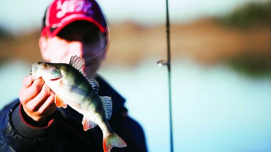 La pêche : une industrie qui vaut toujours son pesant d’or