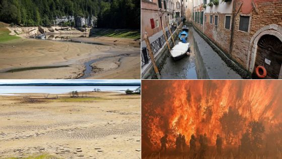 [Blog] Climate change and human responsibility: taking action now