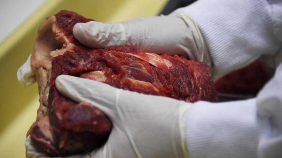 L’APEC réclame une enquête sur la viande du Brésil