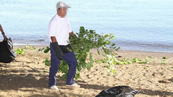 Entretien des plages publiques : la Beach Authority menace de résilier le contrat de plusieurs sociétés de nettoyage