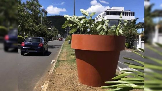 Avenue Hillcrest, Quatre-Bornes : des décorations urbaines font sourciller