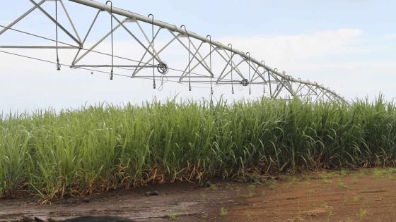 Équipements et services : allégations de conflit d’intérêts à l’Irrigation Authority