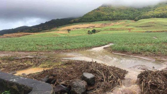 Météo : risques d'accumulations d'eau dans certains endroits ce samedi, prévient la station de Vacoas