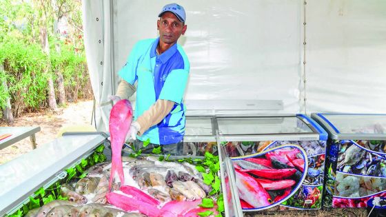 Après une période de ralentissement : le ‘Seafood Hub’ se refait une santé