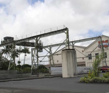 Location de terres: Vita Rice plonge Rose-Belle Sugar Estate dans l’embarras