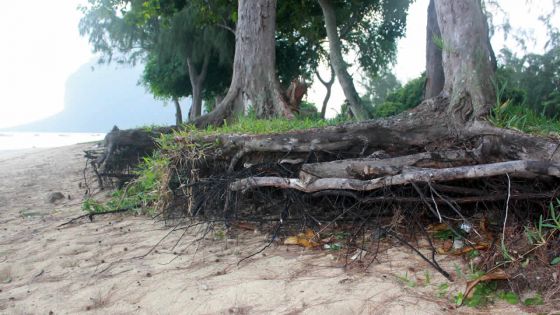 Environnement: Rs 110 M pour contrer l’érosion des plages