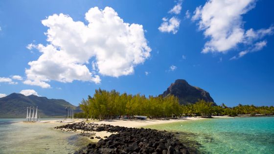 Protection de l’environnement : Rs 1,8 milliard pour booster la biodiversité